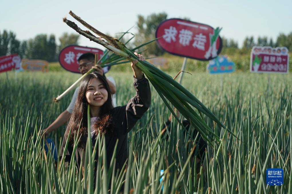 大乐透大赢家软件